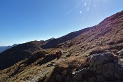 63 Dal Rif. Grassi alla Bocchetta di Valbona